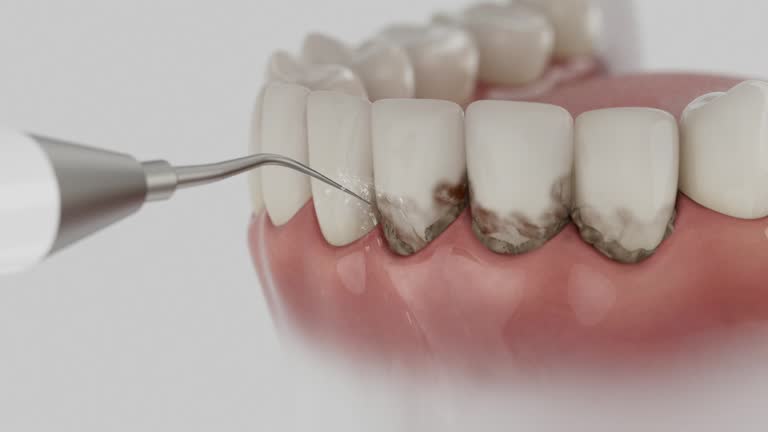 Reliable Dental contractor in St. Lawrence, PA by Dentist Open Now